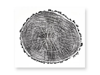 Woodcut print depicting a tree's cross-section with dark concentric rings, radial lines, and an irregular textured edge.