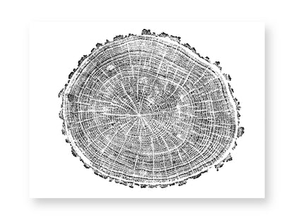 Circular black and white print, tree cross-section with concentric rings, radial lines, and an irregular edge.