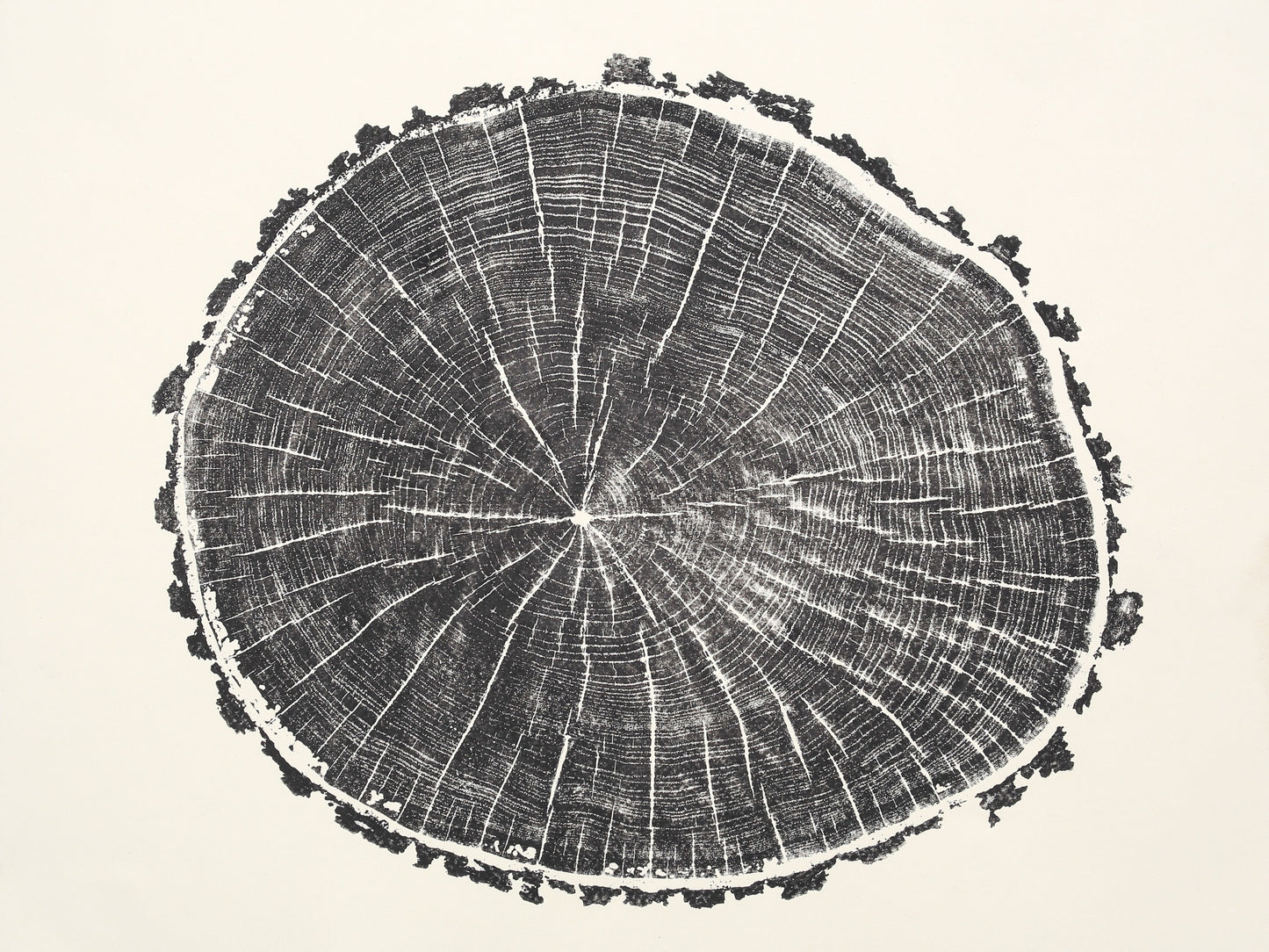 Monoprint showing a dark tree slice impression with concentric rings, radial lines, and a textured edge.