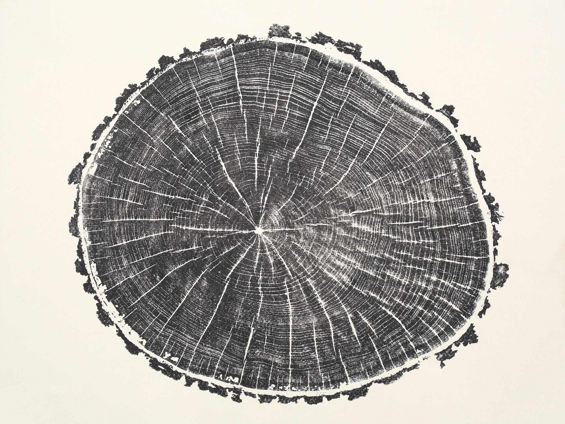 Monoprint showing a dark tree slice impression with concentric rings, radial lines, and a textured edge.