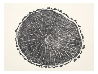 Intricate black impression of a tree root slice with concentric rings and radial lines on light paper.