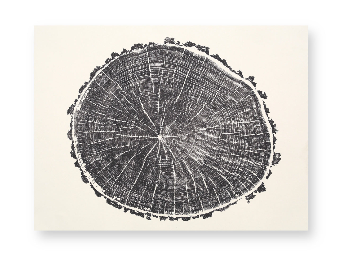 A black print on white paper displays concentric tree rings and radial lines, with a textured bark edge.
