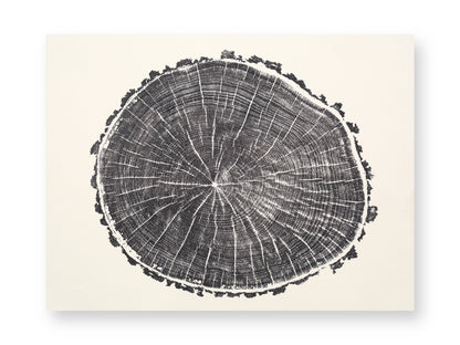 A black print on white paper displays concentric tree rings and radial lines, with a textured bark edge.