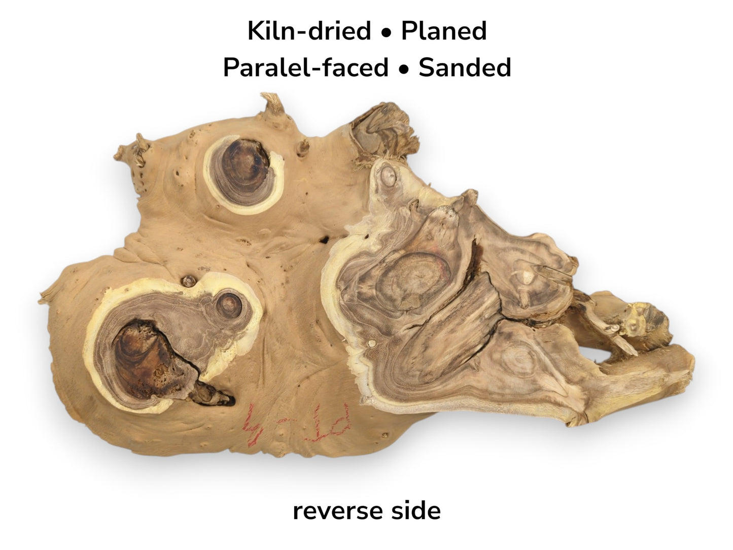 View of a burl wood slab's reverse side, with text overlay detailing its planed, sanded condition.