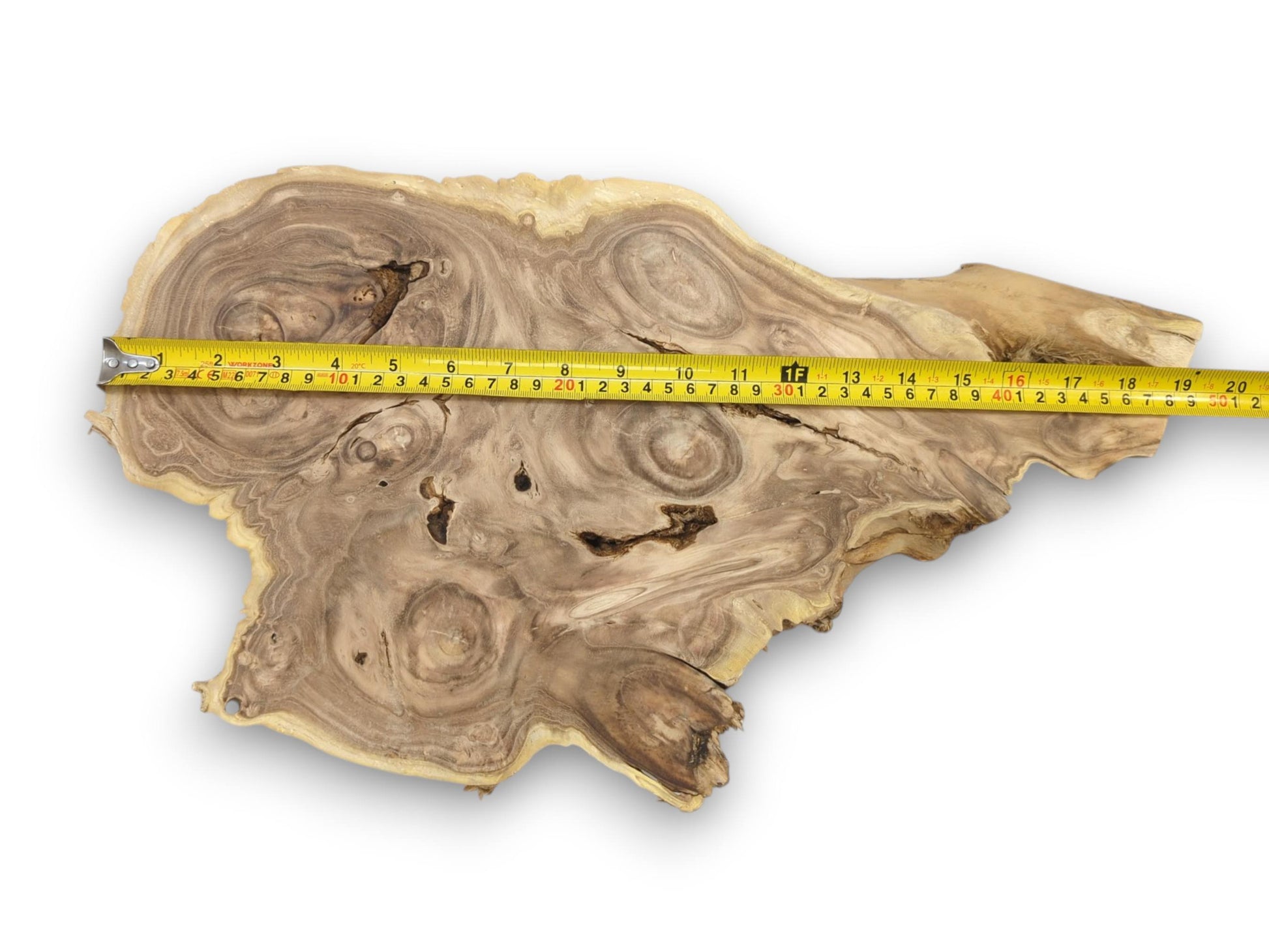 Overhead view of a live edge wood burl slab, with a yellow tape measure showing its width.
