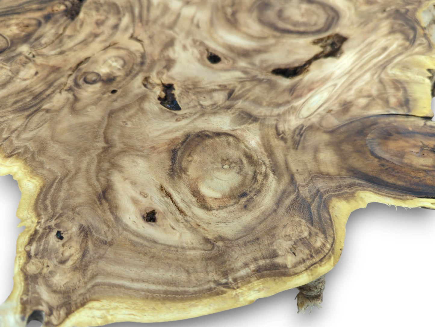 Detailed overhead view of a burl wood slab, showing concentric rings and darker, irregular knot patterns.
