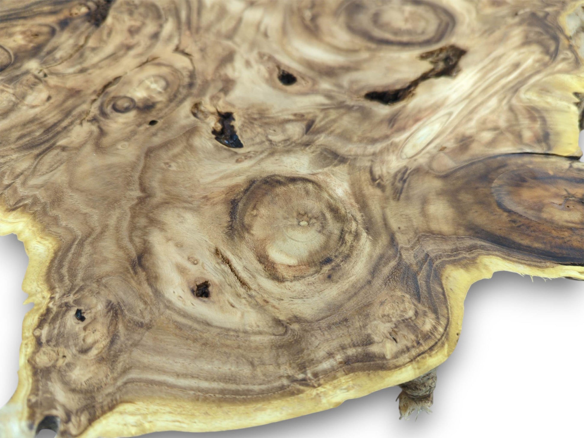 Detailed overhead view of a burl wood slab, showing concentric rings and darker, irregular knot patterns.