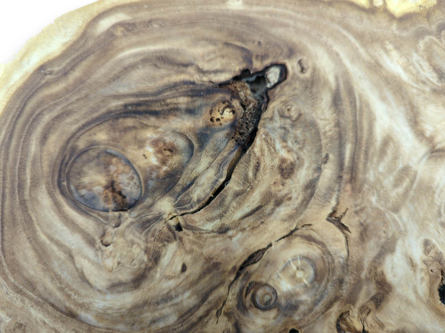 Macro view of a wood burl highlighting the complex, wavy grain surrounding a dark central fissure.