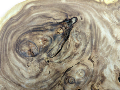 Macro view of a wood burl highlighting the complex, wavy grain surrounding a dark central fissure.