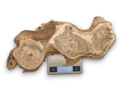 An irregular slice of Japanese Pagoda wood rests on a digital scale, displaying its total weight.