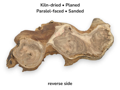 Image showing the reverse side of a prepared burl wood slab with its conditioning listed.