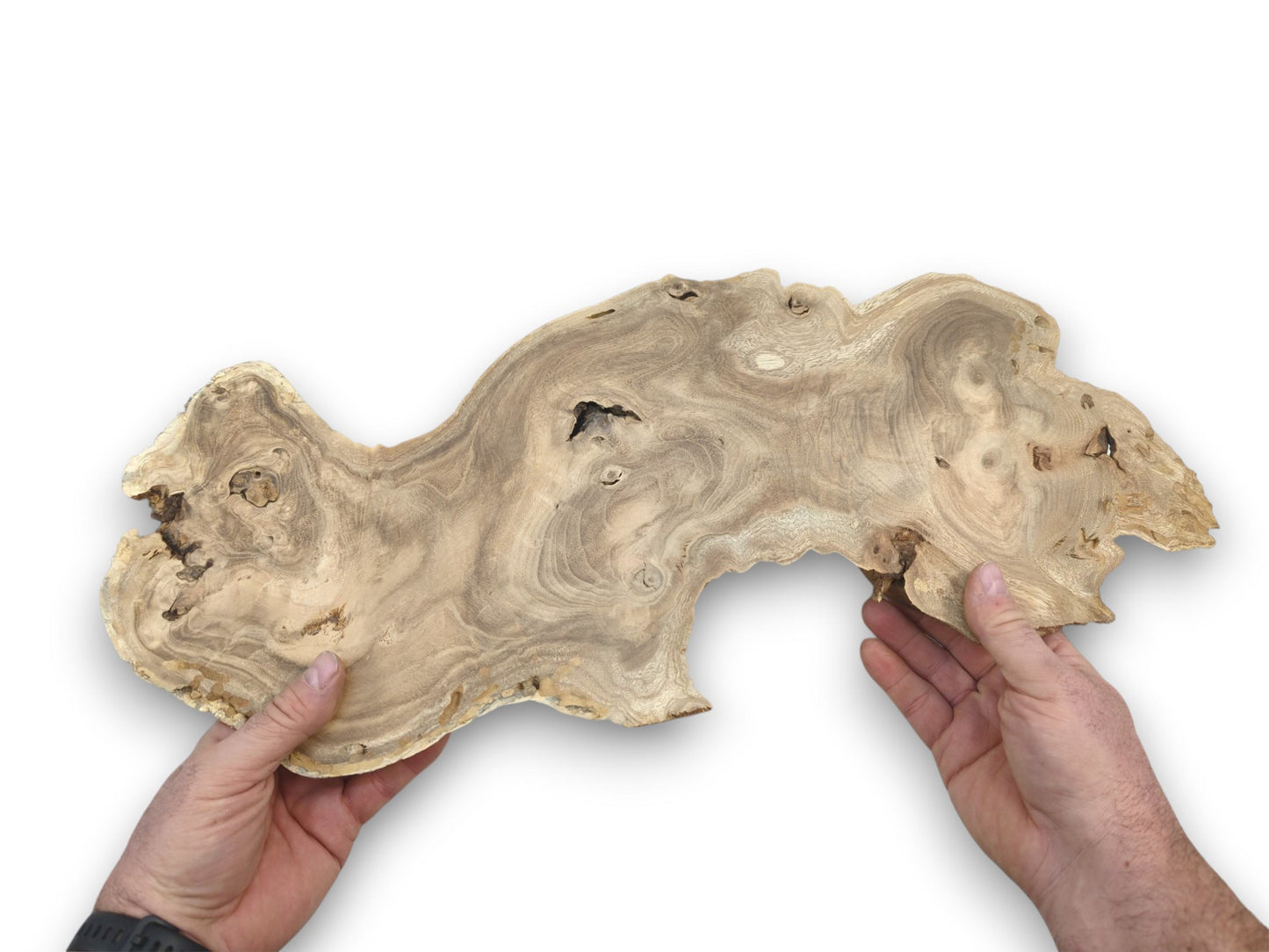 Two hands hold up a light-colored, figured wood slab, showcasing its organic shape and grain.