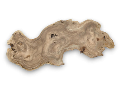 A raw Japanese Pagoda wood slab is shown in full, displaying its swirling, figured burl grain.