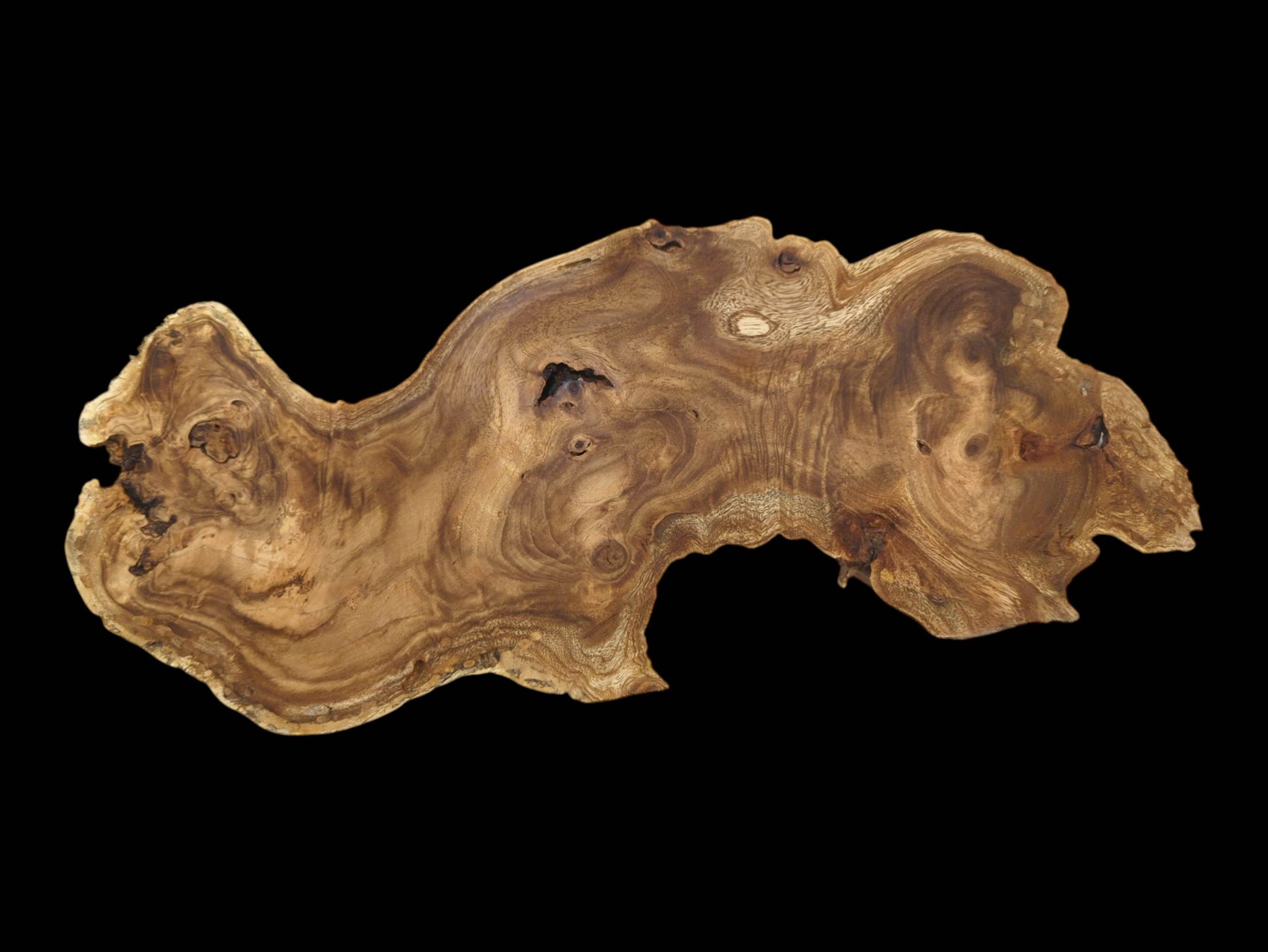 A full overhead view of a raw pagoda tree burl slab with a complex, swirling grain.