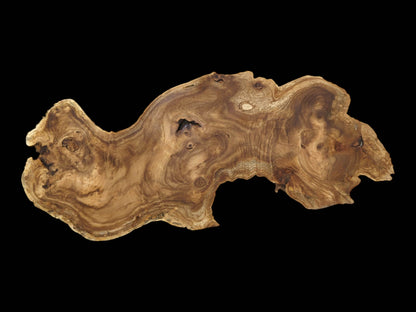 A full overhead view of a raw pagoda tree burl slab with a complex, swirling grain.