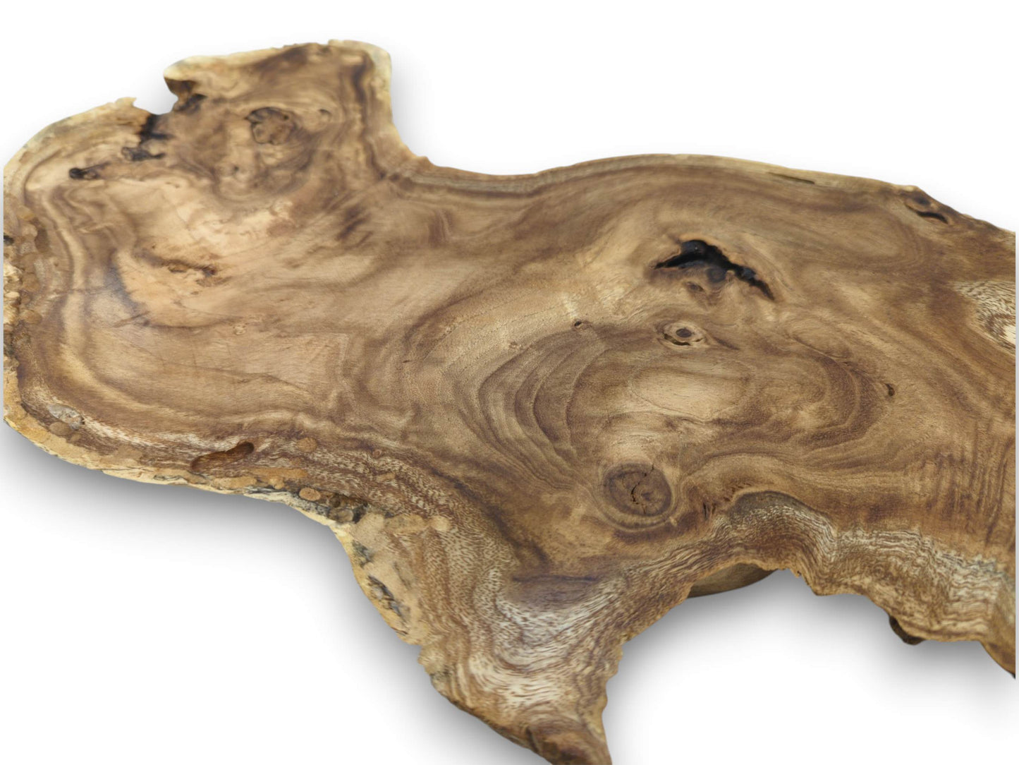 An obliquely photographed burl wood slice, revealing its figured wood grain and unrefined, naturally shaped edge.