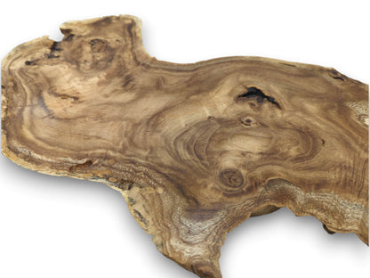 An obliquely photographed burl wood slice, revealing its figured wood grain and unrefined, naturally shaped edge.