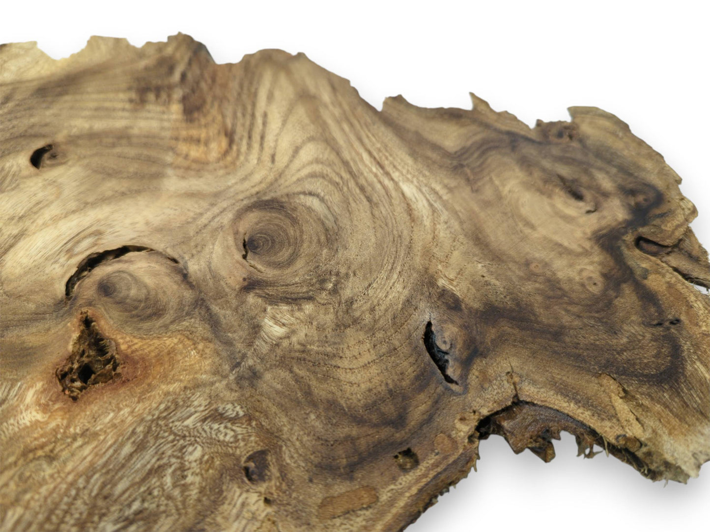 A timber slab's surface shows swirling grain, eye-like knots, and several dark, hollowed voids.