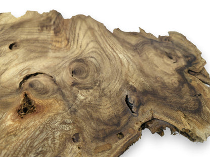 A timber slab's surface shows swirling grain, eye-like knots, and several dark, hollowed voids.