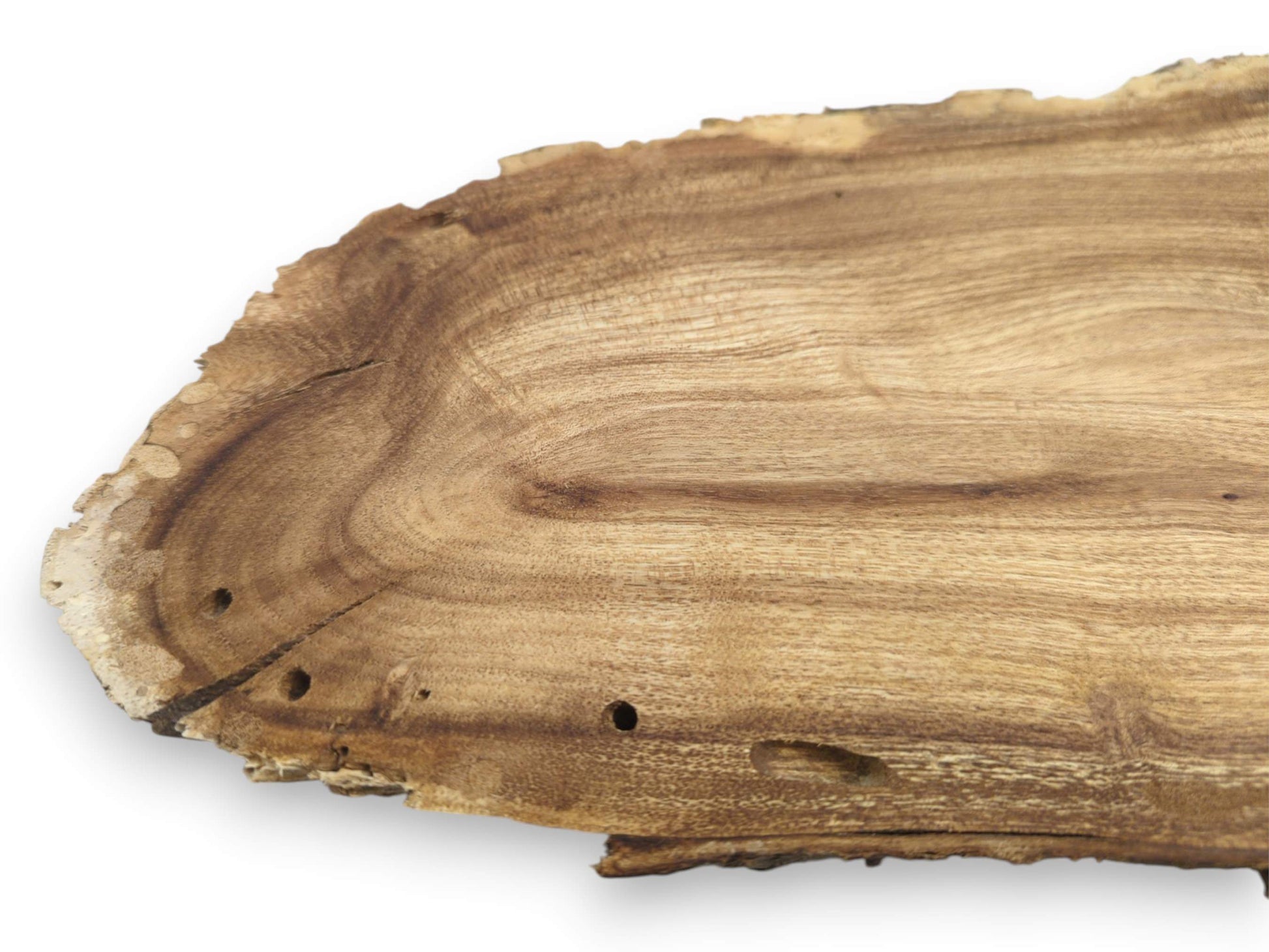 Contoured growth rings flow across a lumber section with a cracked and pitted live edge.