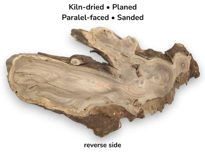 The reverse face of a wood slab reveals wavy grain, small knots, and orange markings.