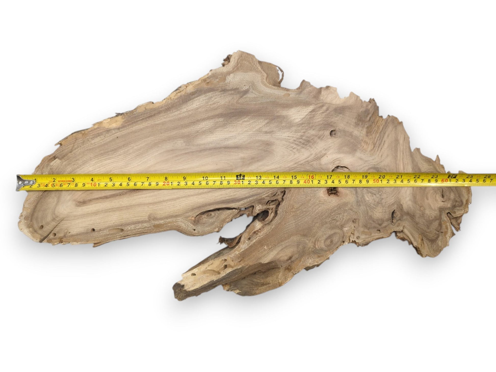 A measuring tape is laid across a wide, asymmetrical timber slab with a rugged border.