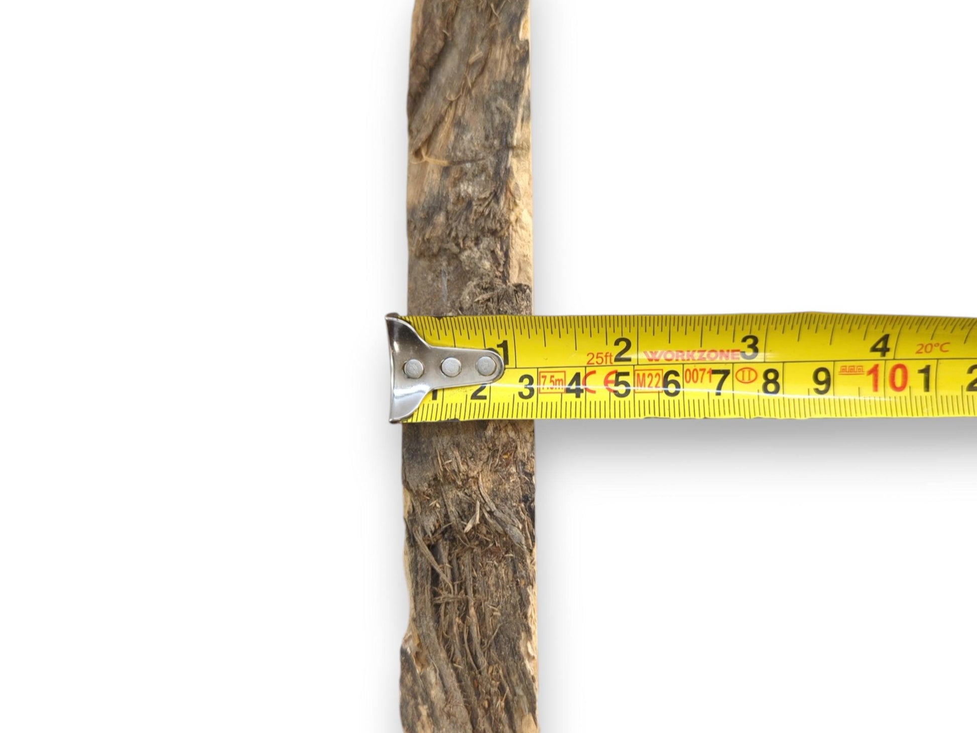A yellow measuring tape gauges the width of a raw root with fibrous bark.