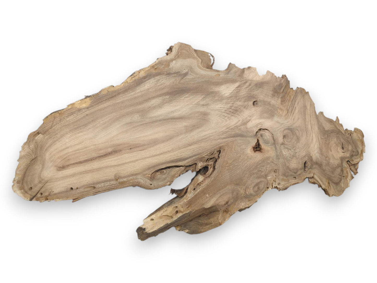 An asymmetrical timber slab seen from above shows sweeping grain, deep voids, and jagged edges.