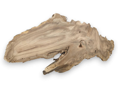 An asymmetrical timber slab seen from above shows sweeping grain, deep voids, and jagged edges.
