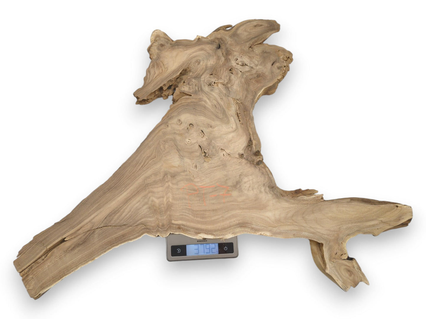 An irregularly shaped timber slab with swirling grain is weighed on a digital scale.