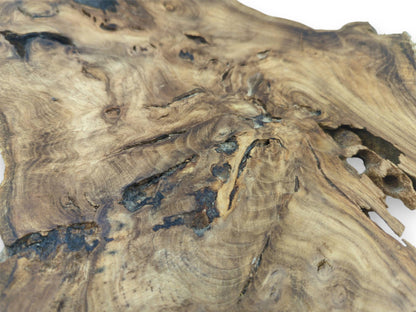 A close-up on a burled timber slab reveals swirling grain around dark, rugged crevices.