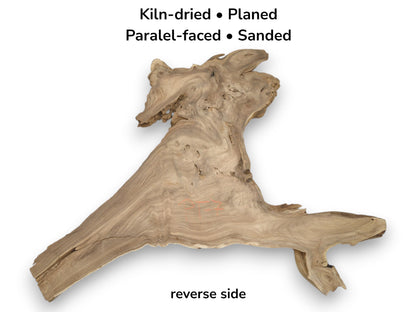 A flattened, pale wood section shows swirling grain patterns around knots and a gnarled edge.
