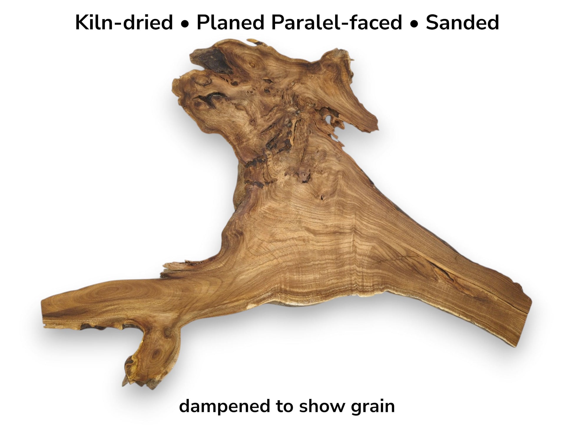 A gnarled rhizome section displays flowing striations and a complex, highly irregular live edge from above.