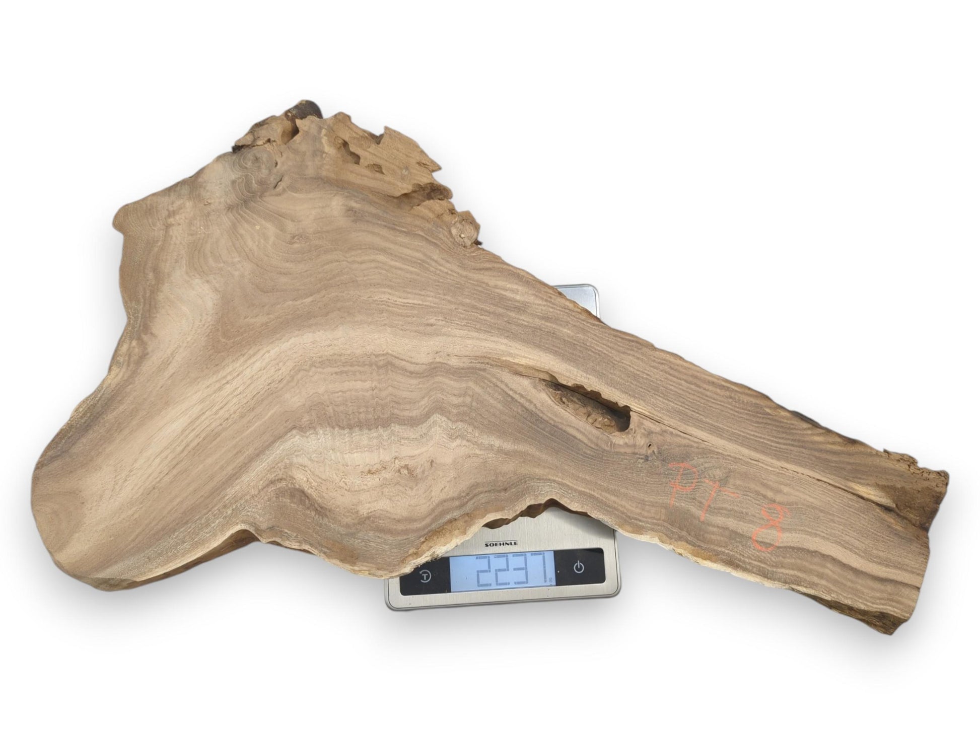 An irregular timber slab with flowing grain and a gnarled edge rests on a scale.