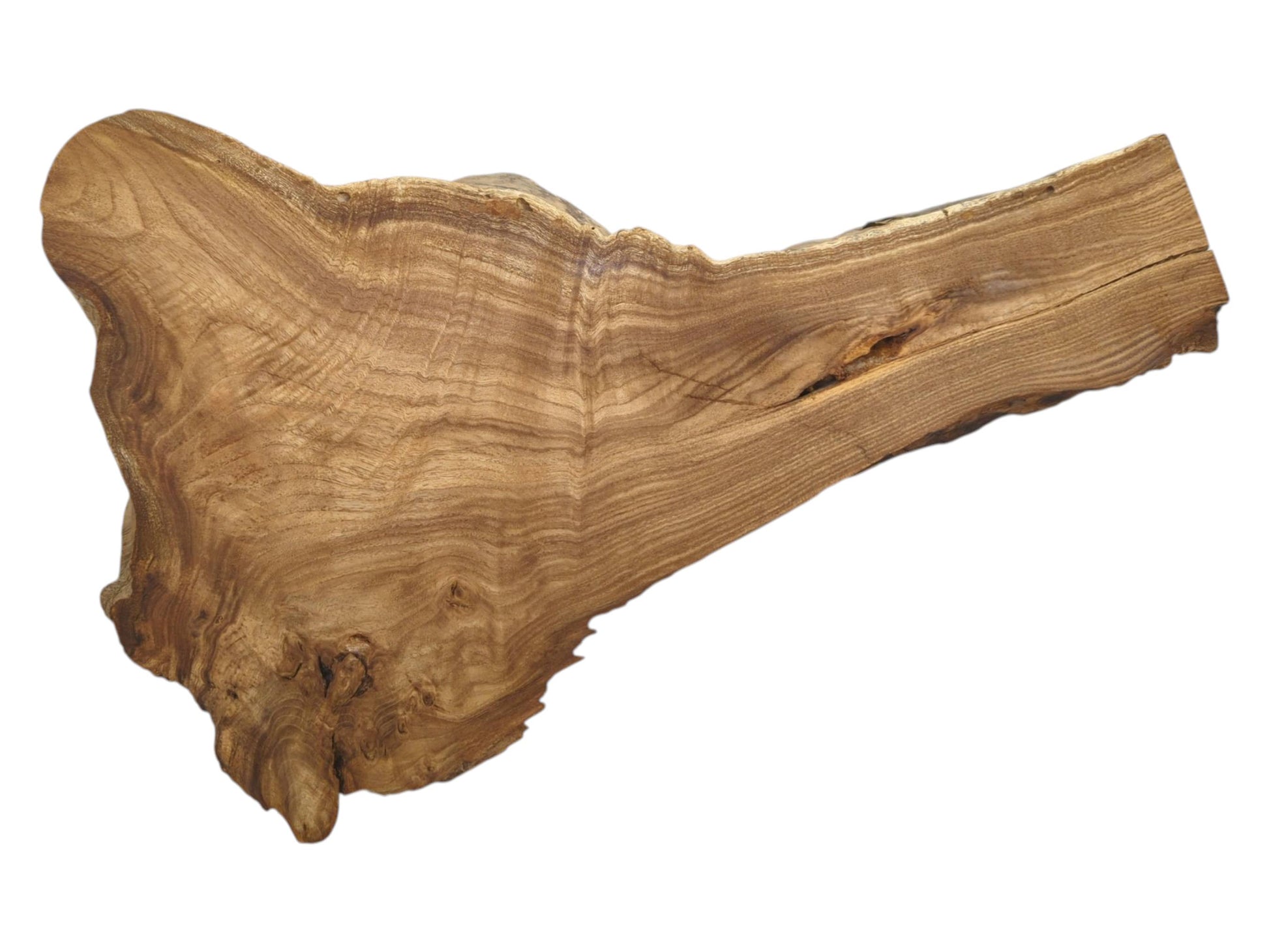 A wide, burled end tapers into a plank with sweeping, parallel grain patterns.
