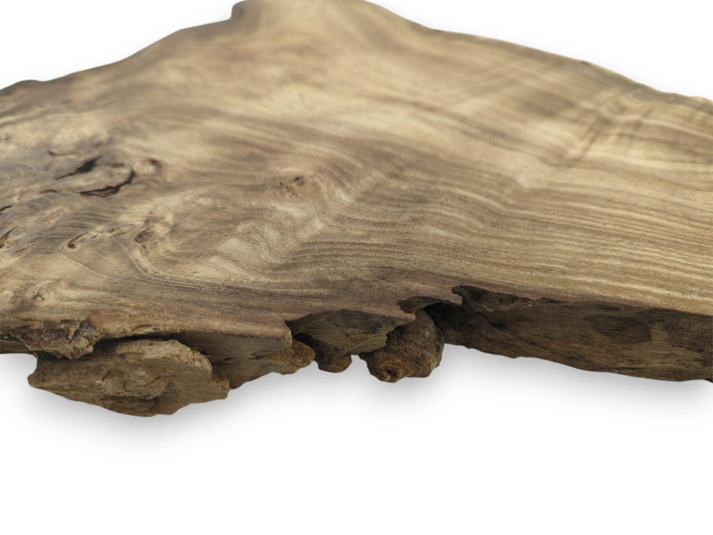 A low-angle view across a wood section highlights undulating grain and a rugged, fissured edge.