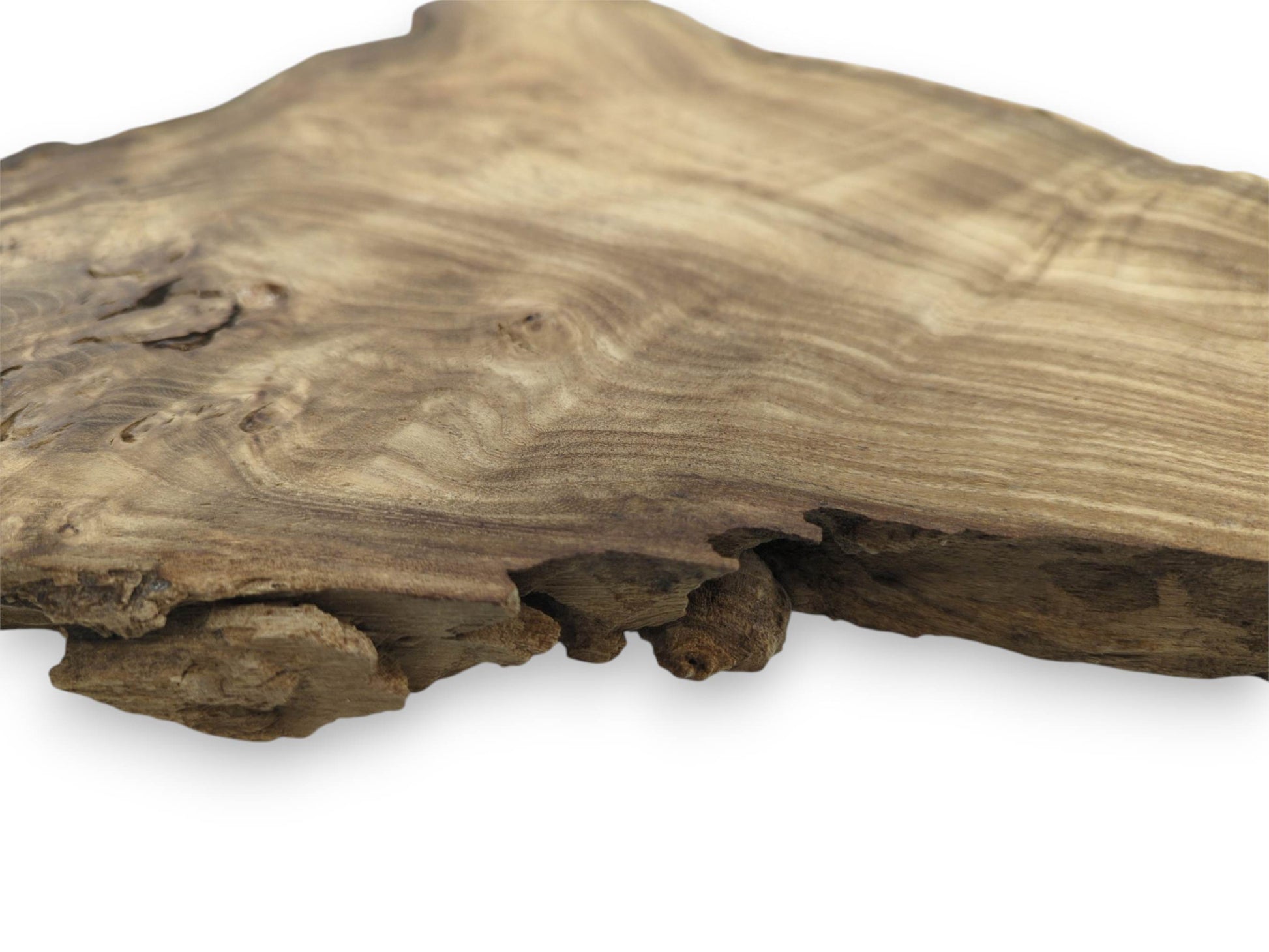 A low-angle view across a wood section highlights undulating grain and a rugged, fissured edge.
