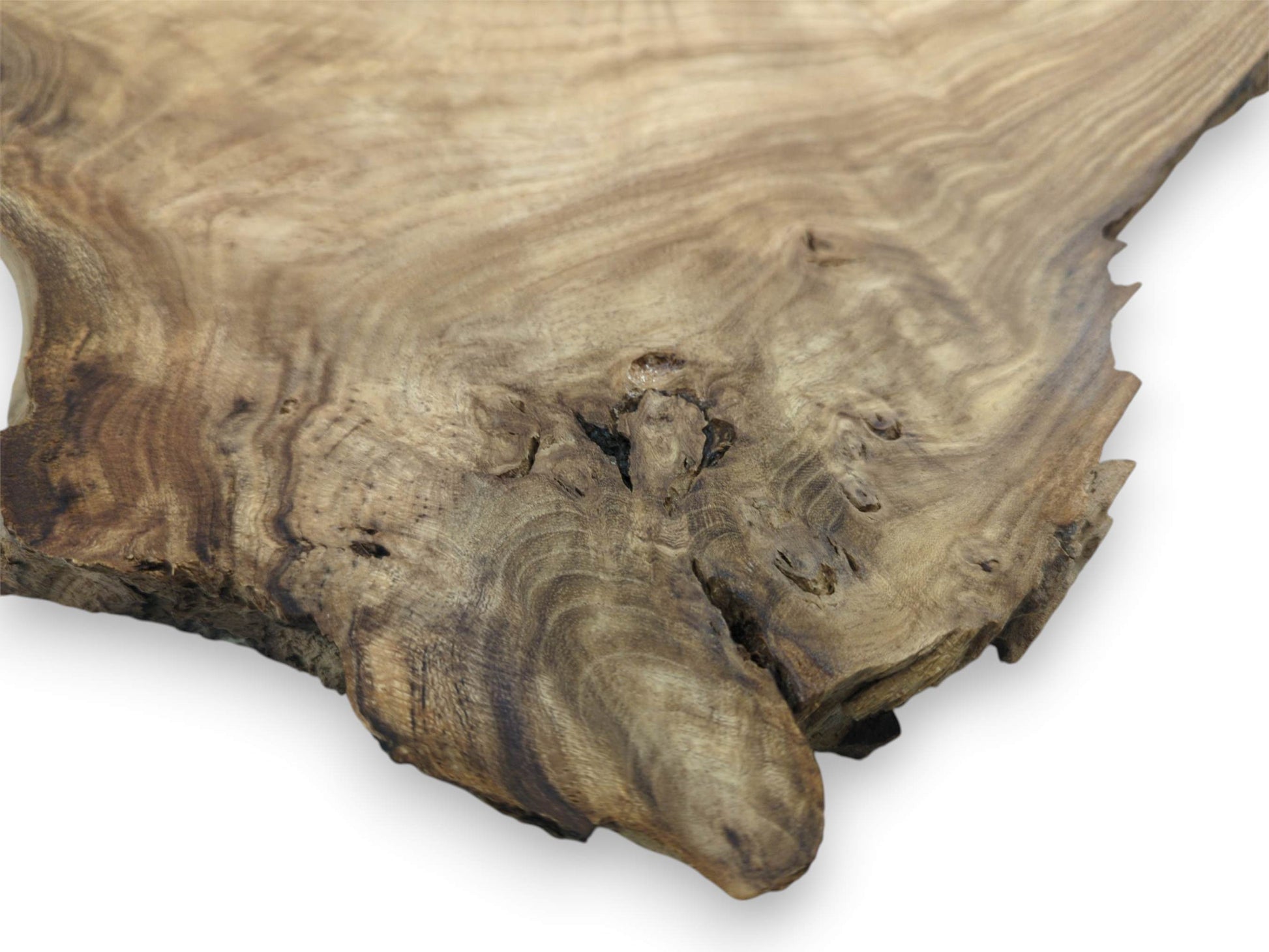 A complex burl with deep crevices creates dramatic, swirling patterns on a wood cutting.
