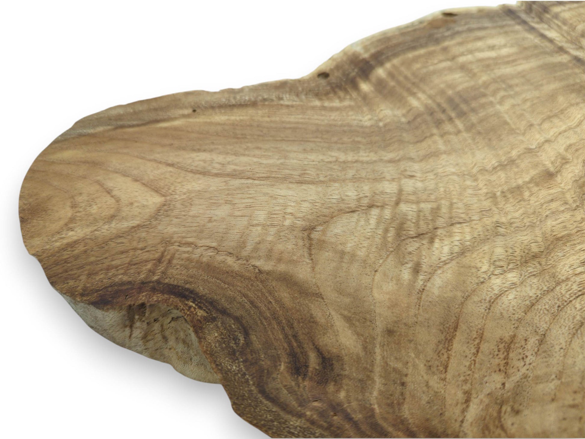 An overhead close-up details the wide, curving growth rings of a sanded wood slab.