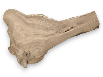 A single wood section displays a gnarled root base and smooth, contour-like grain lines.