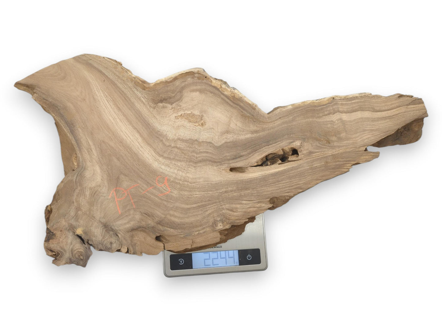 A raw timber slab with a hollowed knot and wavy grain sits on a scale.