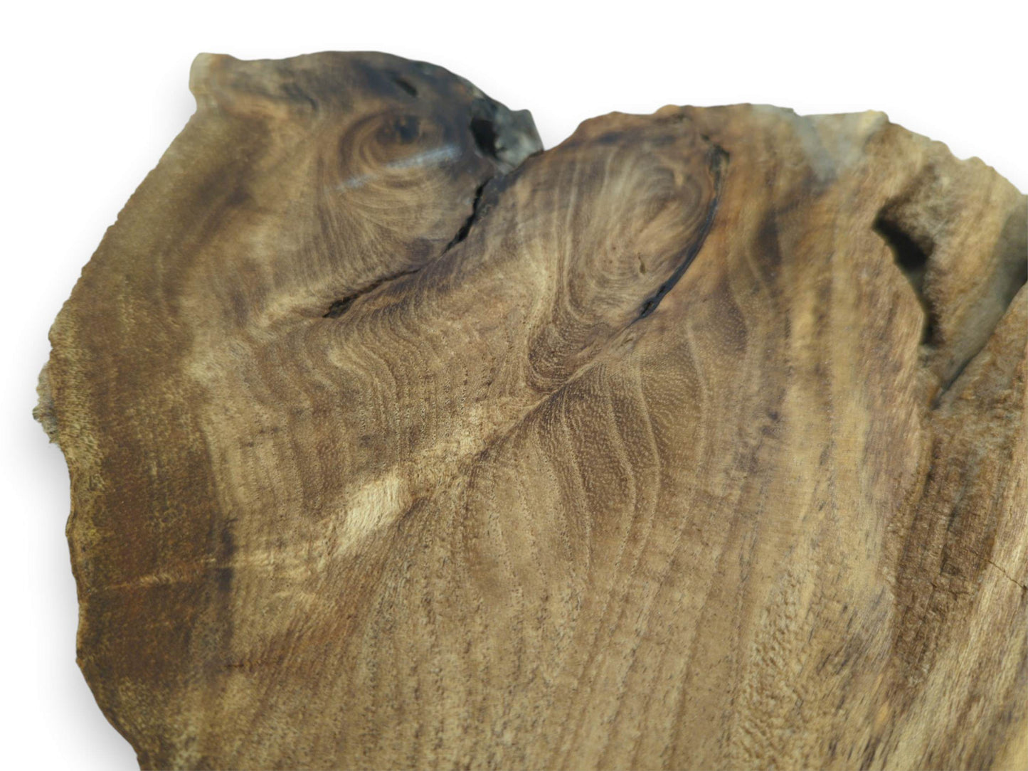 A lumber piece shows two dark, swirling burls and a fissure across its wavy grain.