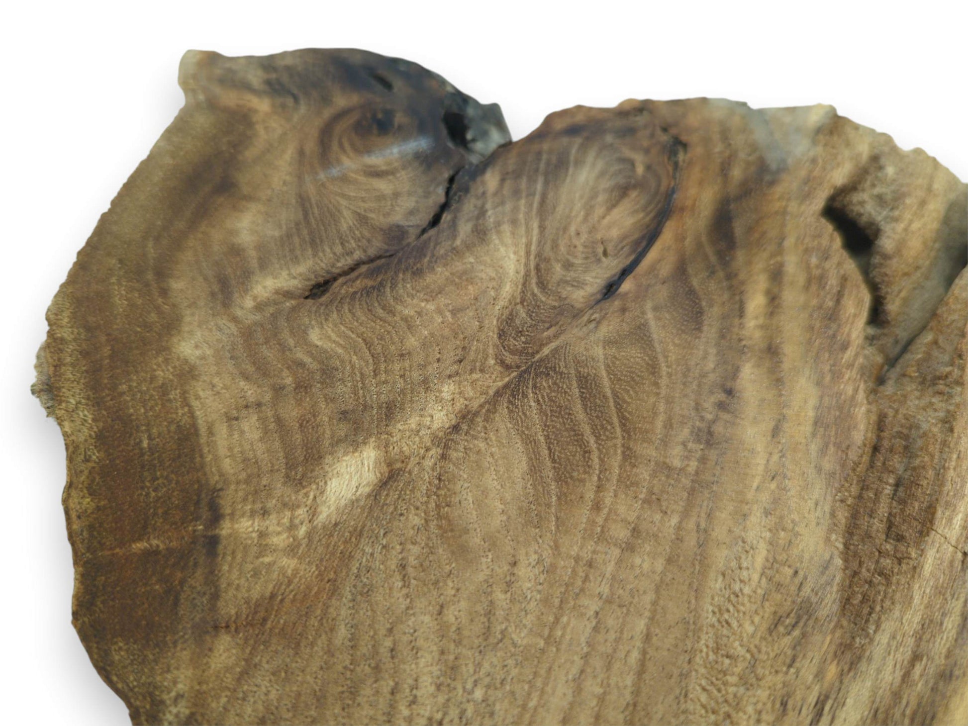 A lumber piece shows two dark, swirling burls and a fissure across its wavy grain.