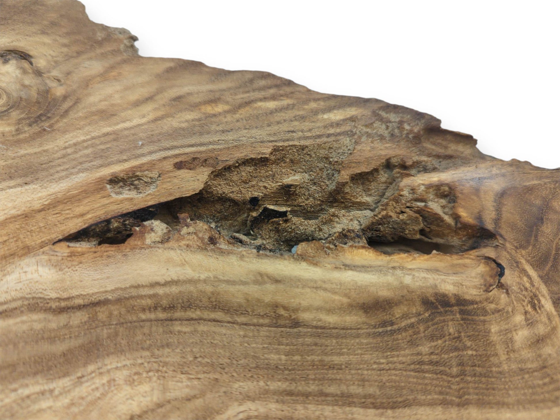 A coarse, pitted hollow interrupts the sweeping, linear grain of a raw timber piece.
