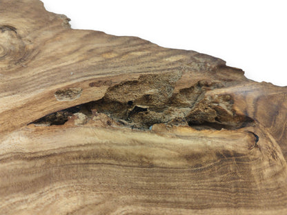 A coarse, pitted hollow interrupts the sweeping, linear grain of a raw timber piece.
