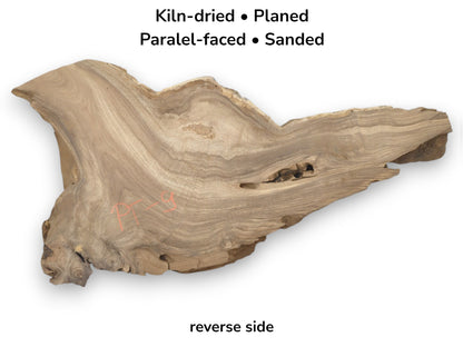 A sanded timber slab shows contoured grain, a hollow knot, and orange chalk markings.