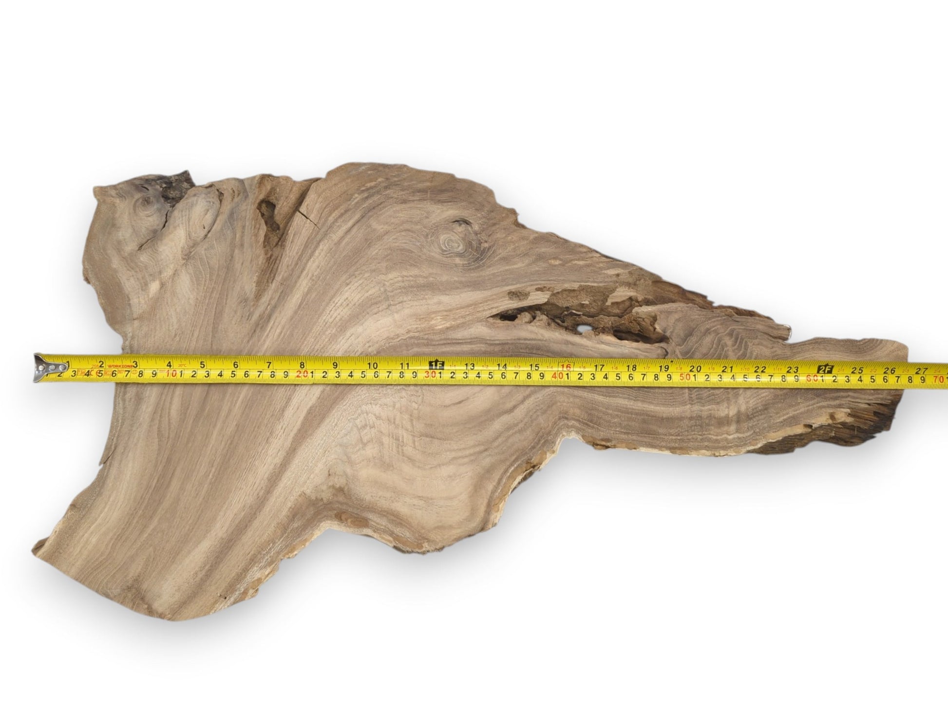 A yellow tape measures a raw timber plank with a gnarled, hollowed upper edge.