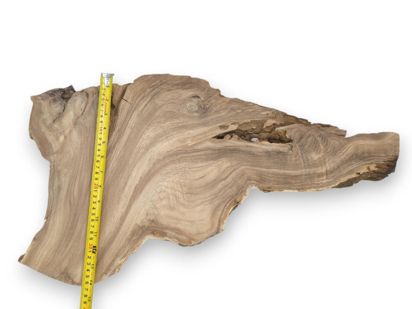 A yellow tape measures a raw wood slab with broad, arcing grain and a coarse edge.