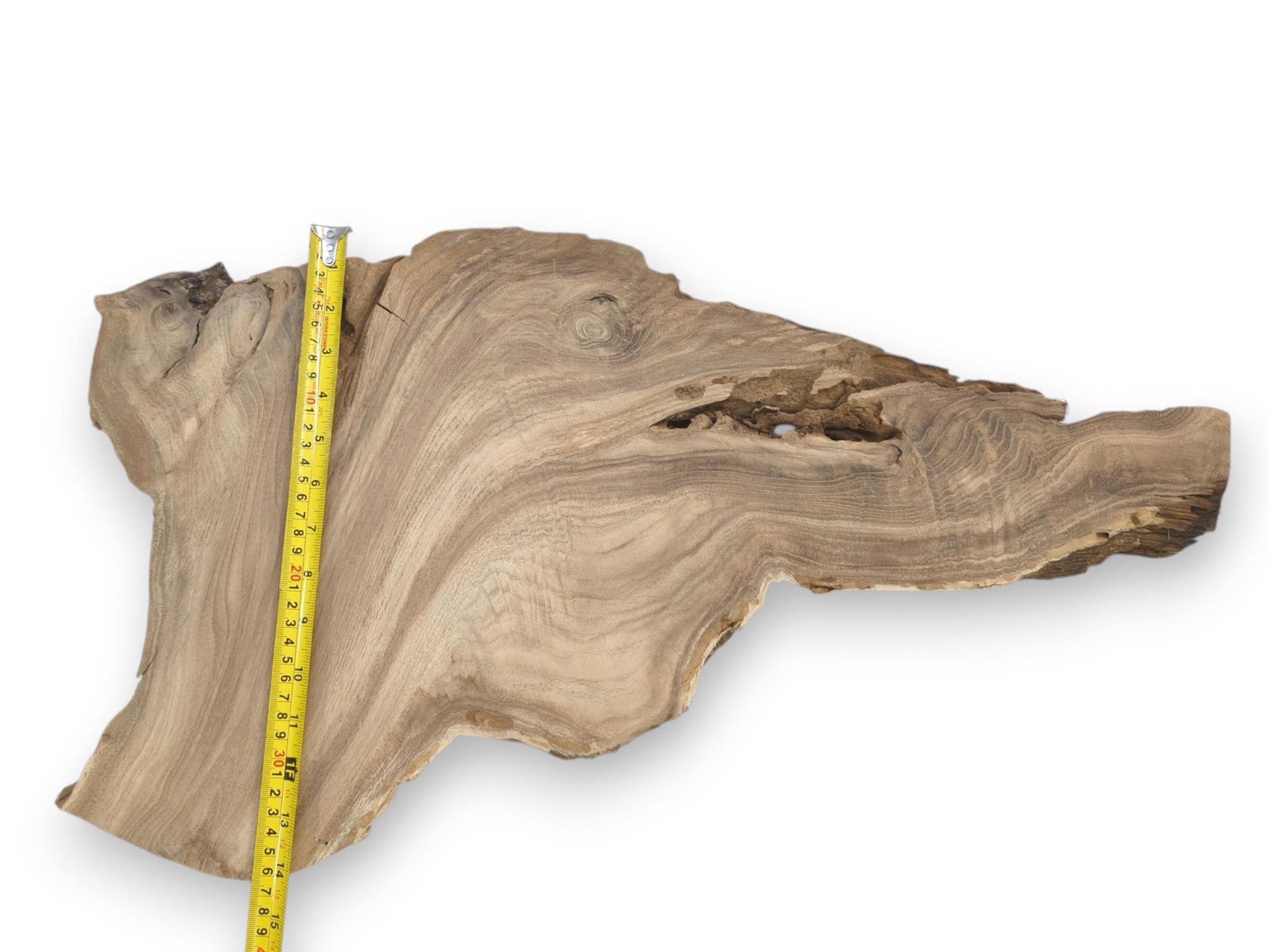 A yellow tape measures a raw wood slab with broad, arcing grain and a coarse edge.