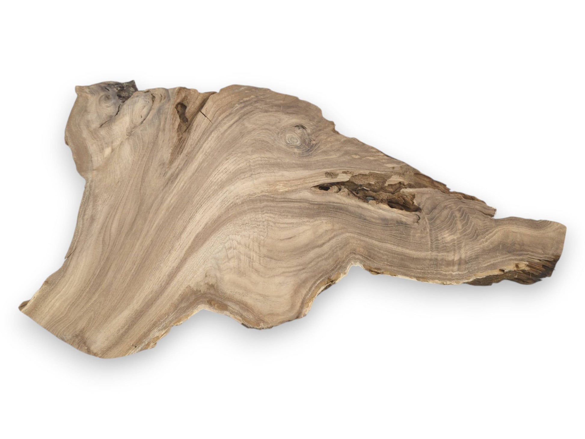 A raw timber section displays sweeping grain patterns and a rugged, cavernous live edge.